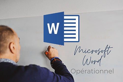 Représentation de la formation : BUREAUTIQUE - Microsoft Word - perfectionnement niveau 2 - 2023