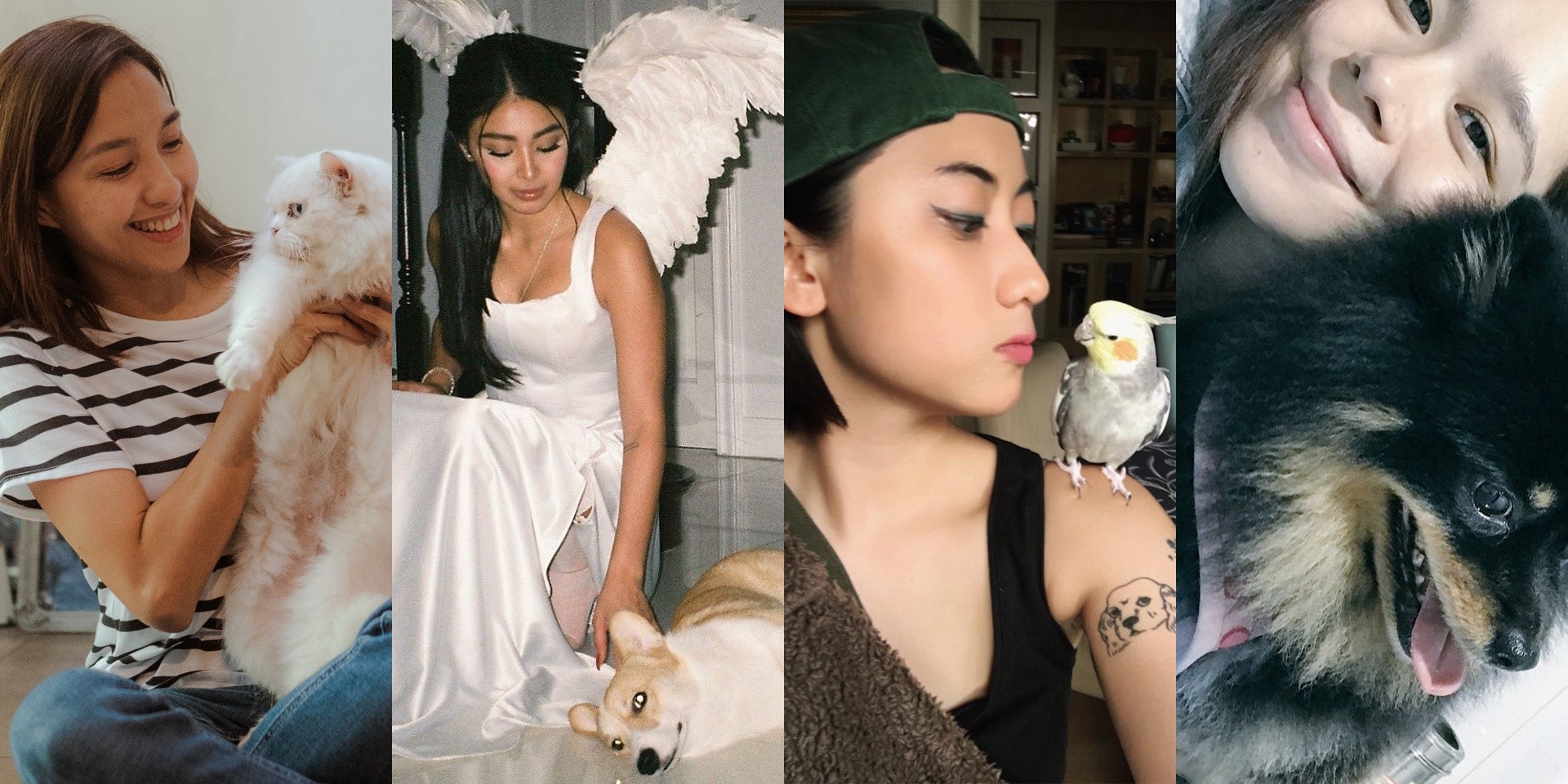 Filipino musicians and their pets