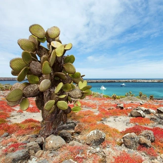 tourhub | Avalon Waterways | Ecuador & Its Galápagos Islands (Treasure of Galapagos) 