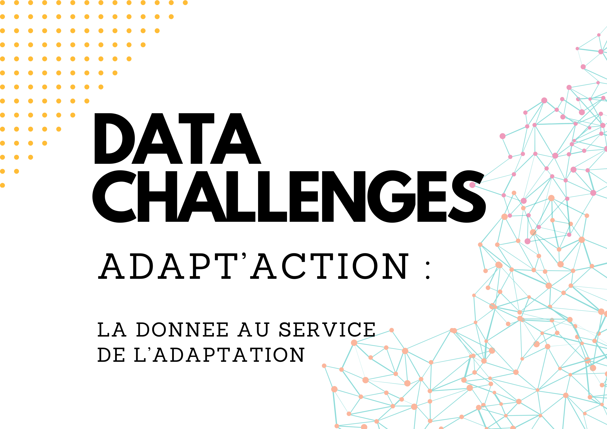 Data Challenges Adapt'Action