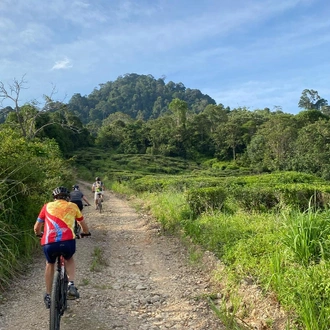 tourhub | SpiceRoads Cycling | Untamed Borneo 