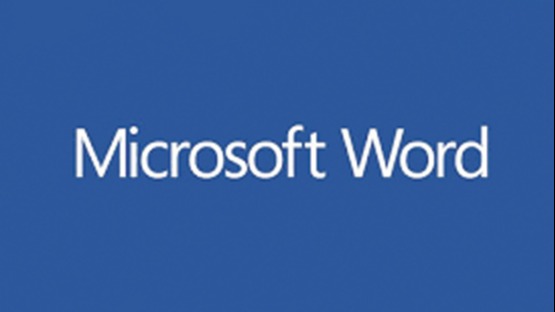 Représentation de la formation : Microsoft Word