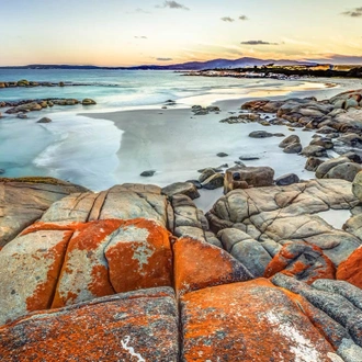 tourhub | Intrepid Travel | Walk Tasmania's Bay of Fires 