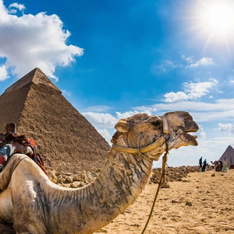 tourhub | Egypt Tours Club | The Best Egypt Tour Package 15 days and 14 night  (CLONE) 