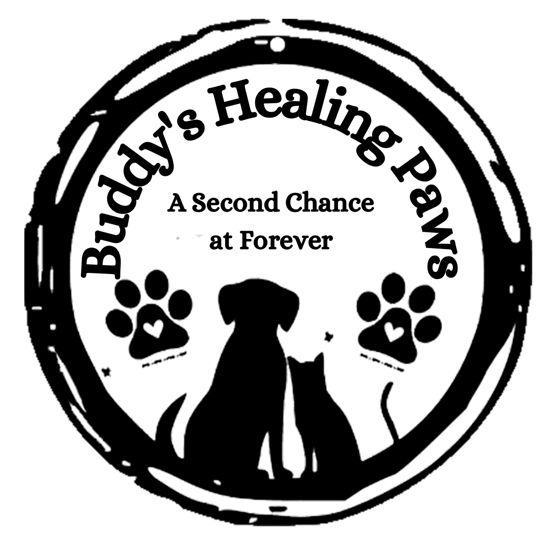 Buddy's Healing Paws logo