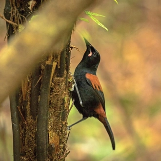 tourhub | Heritage Expeditions | Unseen Stewart Island 