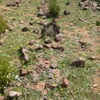 Tighedouine Cemetery, Grave [2] (Tighedouine, Morocco, 2010)