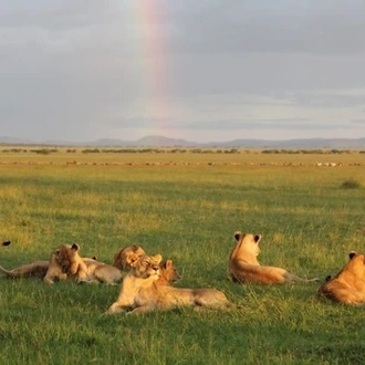 tourhub | Today Voyages | Private Jeep Safari -Samburu, Lake Nakuru & Masai Mara 