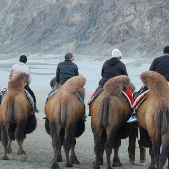 tourhub | Agora Voyages | Leh to Nubra Valley: Sand Dunes and Monasteries Expedition 