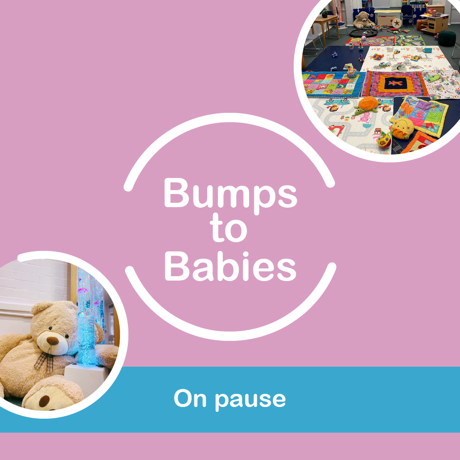 Bumps to Babies - On Pause 2.png