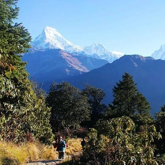 tourhub | Encounters Travel | Langtang and Tamang Heritage trek 