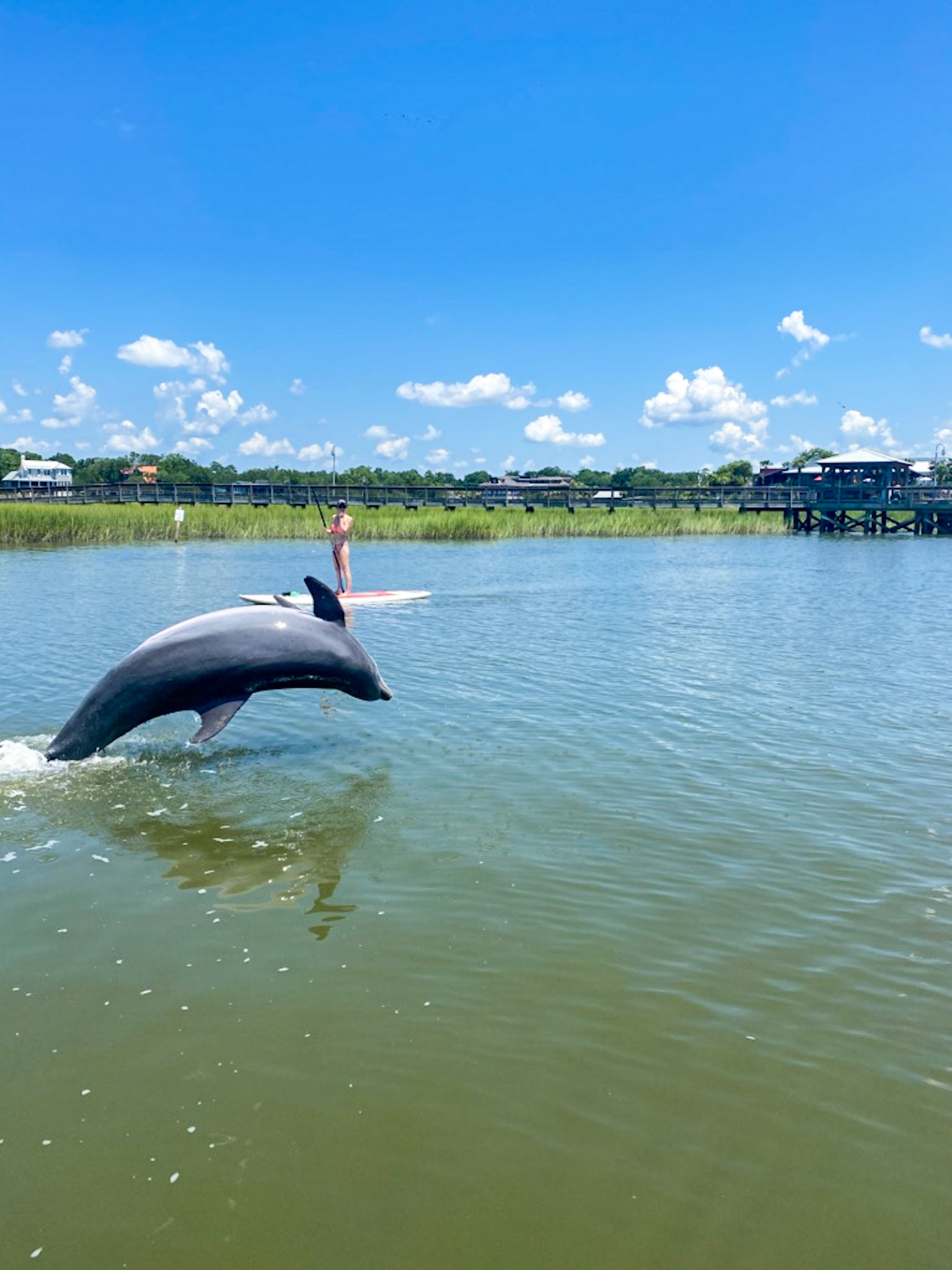 Rentals: Shem Creek Kayak and Paddleboard