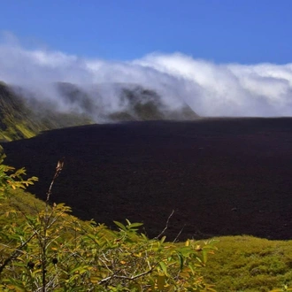 tourhub | Ecuador Galapagos Travels | 10 Days Galapagos Islands (Santa Cruz - Isabela) 