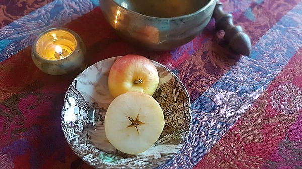 %-point star apple slice - photo by Paula Pryce.jpg