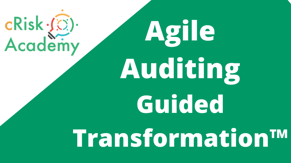 Agile Auditing: Guided Transformation + Templates | cRisk Academy | cR