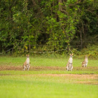 tourhub | Intrepid Travel | Top End & Kakadu Adventure 