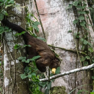 tourhub | Bamba Travel | Puerto Maldonado Amazon Budget Eco-Lodge 4D/3N 