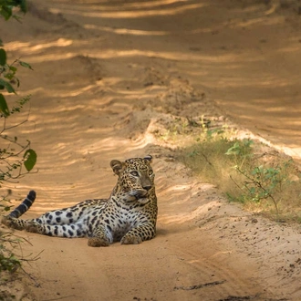 tourhub | Explore! | Sri Lanka in Depth 