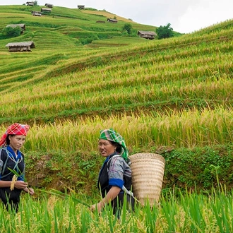 tourhub | Intrepid Travel | Hiking in Sapa 