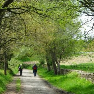 tourhub | UTracks | Camino - Pilgrims and Paradors 