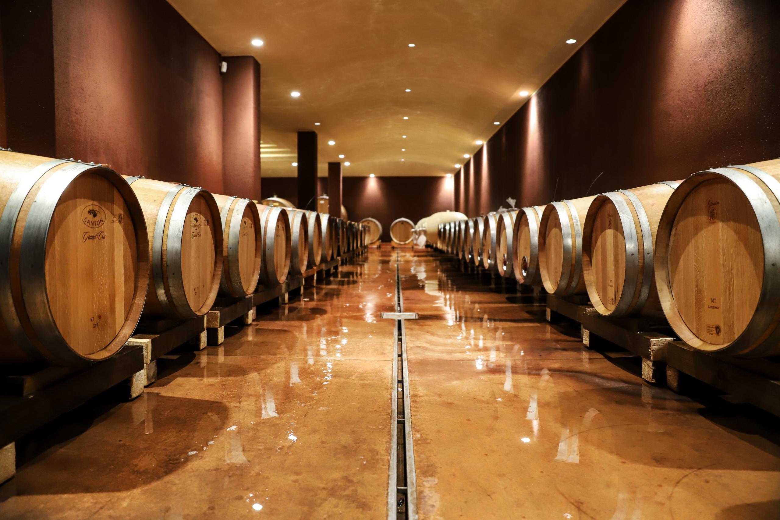 Lake Garda: Visit to the Cellar with Tasting in Bardolino in Small Group - Accommodations in Verona