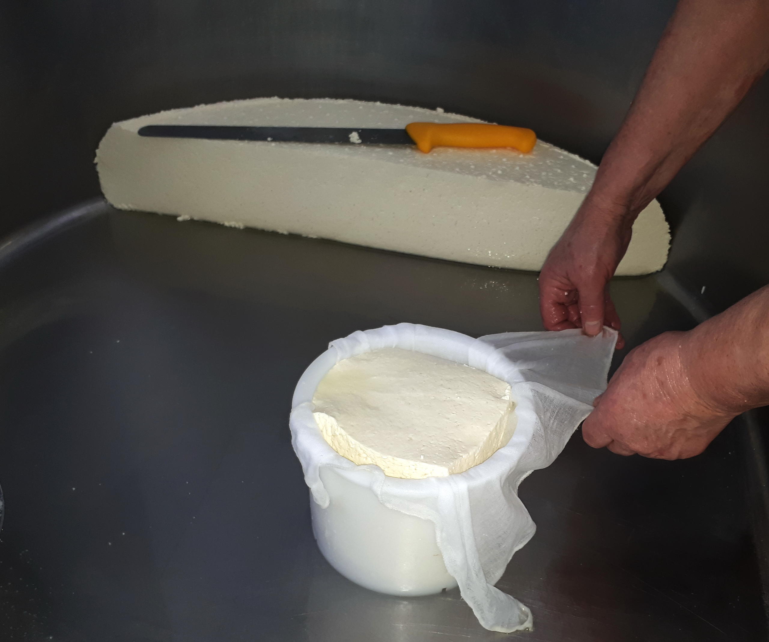 Tour de queso Idiazabal desde San Sebastián en Semi-Privado con Recogida - Acomodações em San Sebastian