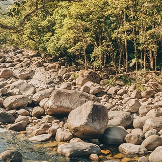 tourhub | Intrepid Travel | North Queensland Adventure 