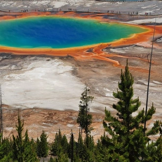 tourhub | Insight Vacations | Yellowstone Discovery 