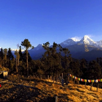 tourhub | Alpinist Club | Annapurna Poon Hill and Khopra Ridge Trek 