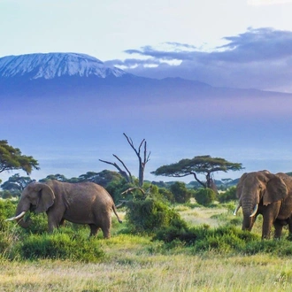 tourhub | ARP Travel Group | Kenya Classic, Sopa Lodges - Private Tour 