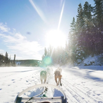 tourhub | Arctic Range Adventure | Yukon Winter Dream | Active Winter Adventure 