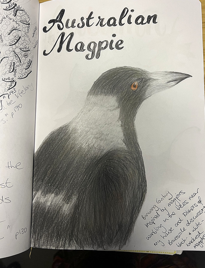 nature journal page - magpie