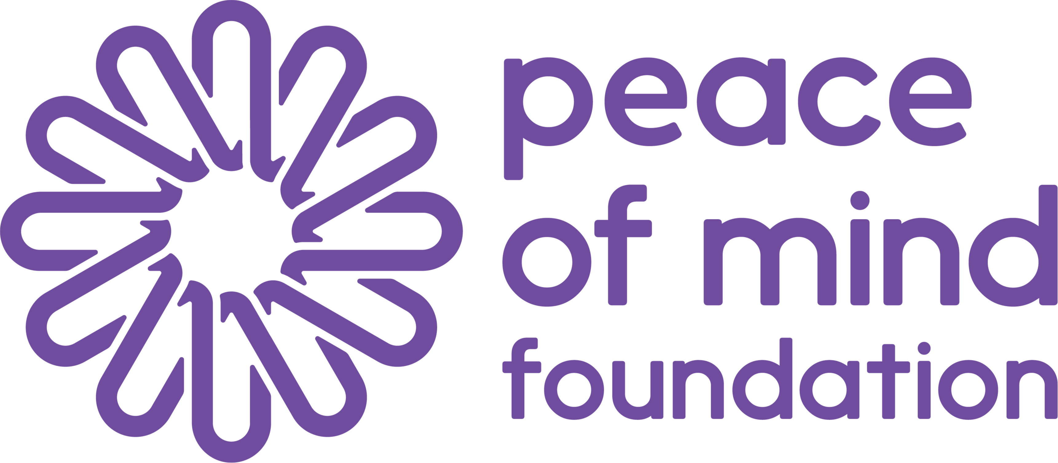 Peace of Mind Foundation logo