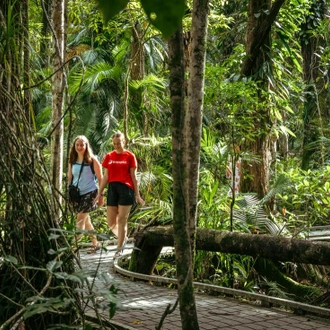 tourhub | Intrepid Travel | Daintree & Cape Tribulation Adventure 