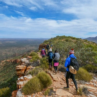 tourhub | Intrepid Travel | Trek the Larapinta Trail 