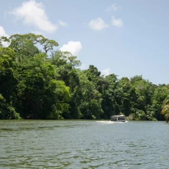 tourhub | Bamba Travel | Tortuguero Trails & Pacuare Rapids 4D/3N 