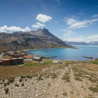 tourhub | Intrepid Travel | South Georgia and Antarctic Peninsula: Penguin Safari  