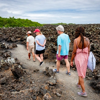 tourhub | Intrepid Travel | Grand Galapagos (Grand Queen Beatriz) 