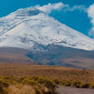 tourhub | Undiscovered Destinations | Ecuador - Astride the Equator 