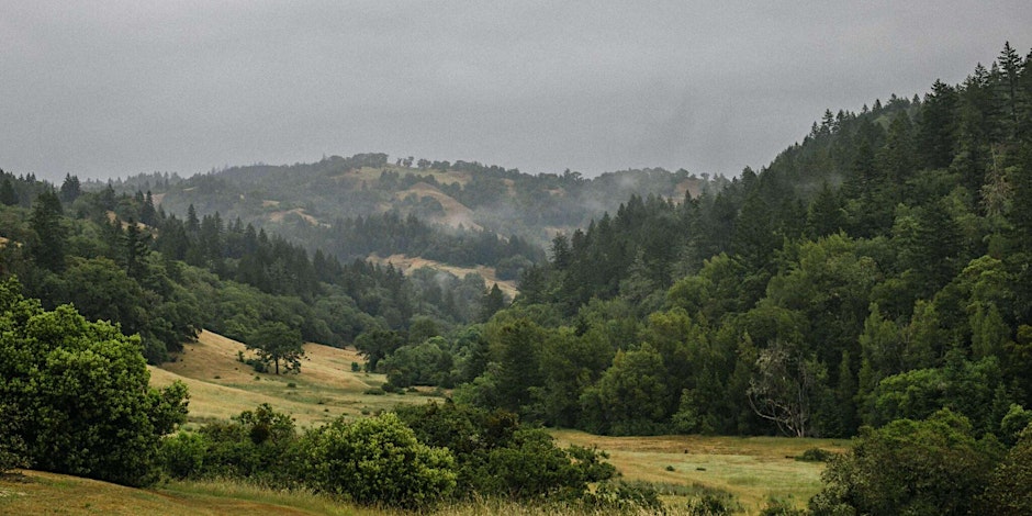 View from a trail at Whispertree Retreat Center