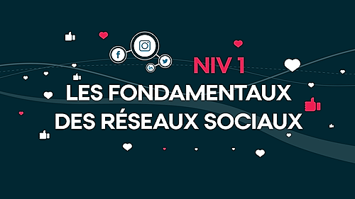 Représentation de la formation : LES FONDAMENTAUX DES RESEAUX SOCIAUX -  Niveau 1