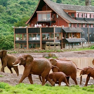 tourhub | Gracepatt Ecotours Kenya | 7-Days Wildlife Private Safari Aberdares, Mount Kenya, Lake Nakuru & Masai Mara  