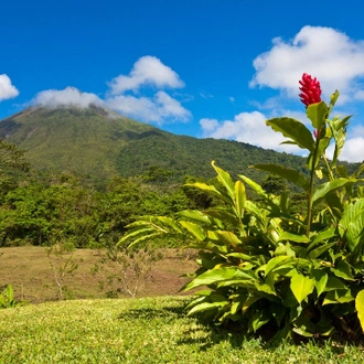 tourhub | Destination Services Costa Rica | Wild Jungles and Secret Mountain of Costa Rica 