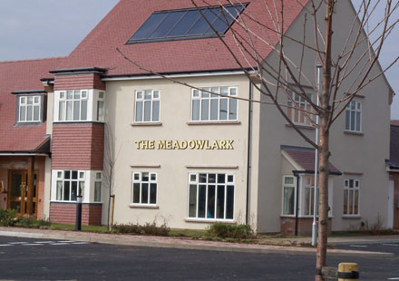 Meadowlark Essex