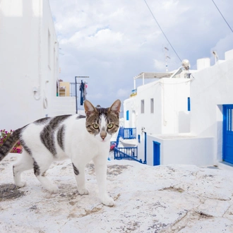 tourhub | Daily Tours from Athens | From Athens: 3-Day Trip to Mykonos & Santorini with Lodging 