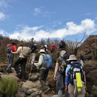 tourhub | World Expeditions | Kilimanjaro - Lemosho Route 