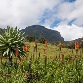 tourhub | Armaye Ethiopia Tours | 6 Days Bale Mountains Trekking 