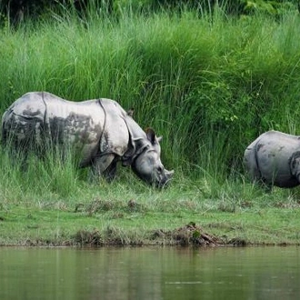 tourhub | Encounters Travel | Nepal Family Essentials 