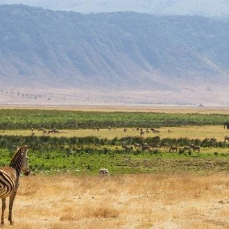 tourhub | On The Go Tours | East Africa Explorer (Accommodated) - 24 days  