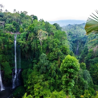 tourhub | Today Voyages | Diving in The Heart of Bali and Nusa Penida Island 